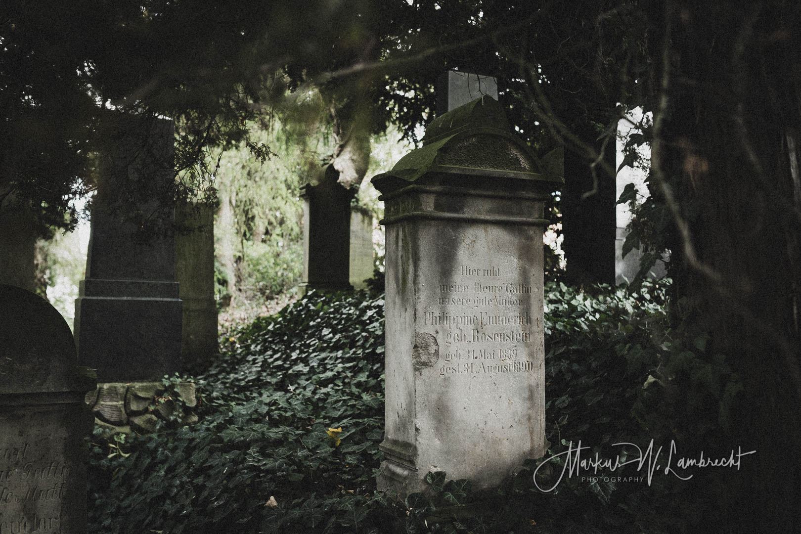 Steinheim (Westfalen), Jüdischer Friedhof